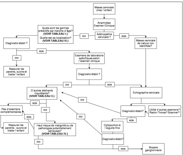 Figure 1. Arbre décisionnel de la prise en charge d´une adénopathie cervicale chez l´enfant.