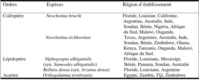 Table 2.  Insects  succesfully  introduced  and  used  in  the  biological  control  against  the  water  hyacinth in the world (Dagno, 2006)