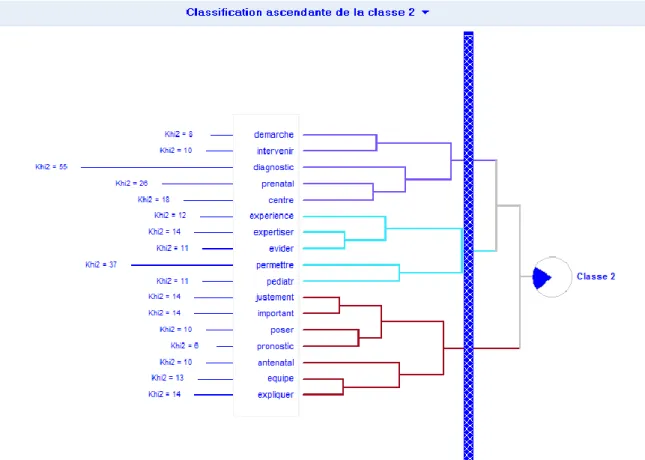 Figure 3 : Classification ascendante de la classe 3. 