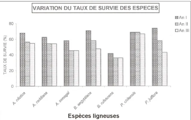 Figure 2 : Variation de taux de survie chez les espèces sur site transplanté.