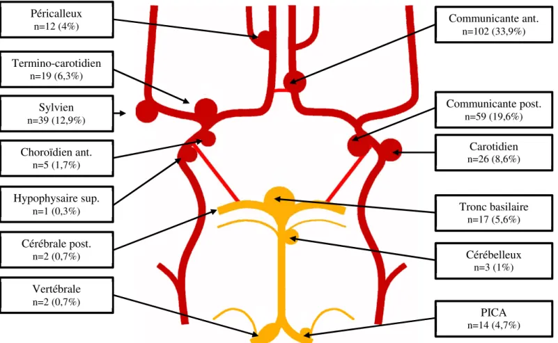 Figure 8 : Répartition des localisations anévrysmales sur le polygone de Willis 41