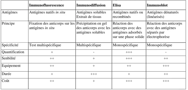 Tableau I. Méthodes les plus utilisées pour la recherche des auto-anticorps. 