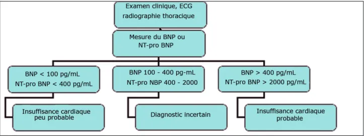 Figure 3. Démarche diagnostique et interprétation du dosage des peptides natriurétiques.