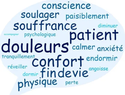 Figure 3 : Nuage de mots des 20 termes les plus utilisés pour définir la sédation. 