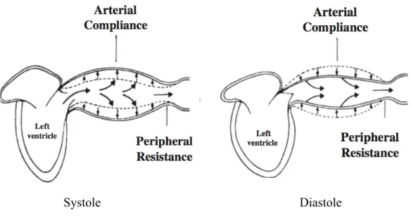 Figure 2 : Interaction ventriculo-artériel au cours d’un cycle cardiaque 