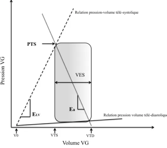 Figure 3 : Courbe pression-volume ventriculaire gauche 