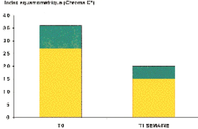 Fig. 2. Levures du genre Malassezia dans la couche cornée d’une dermatite séborrhéique.