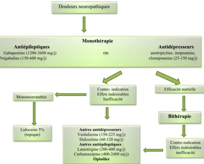 Figure 4. Stratégie thérapeutique en première et deuxième intention face aux douleurs  neuropathiques (Bouhassira  et Attal  2006) 