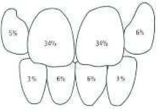 Figure 2 : Distribution et fréquence par type de dent des traumatismes en denture permanente
