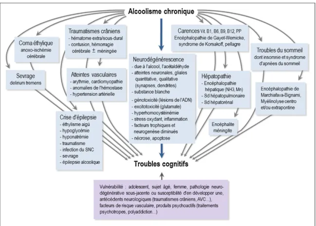 Figure 3- Étiologie des troubles cognitifs dans le trouble de l’usage de l’alcool, d’après  Demmatheis et al (63)