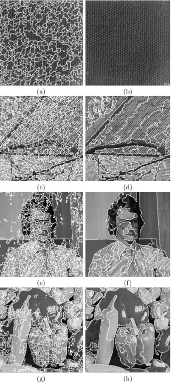 Figure 5. Initial partitions (on the left) and ﬁnal segmented natural images (on the right).