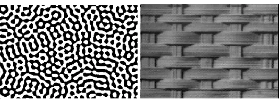 Figure 1. Two textures (the left-hand side texture was provided by Lantu´ ejoul ).