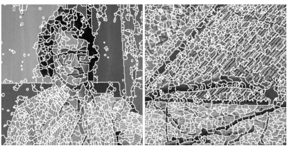 Figure 4. The contours of two over-segmented images.