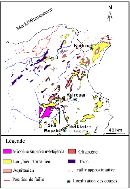 Figure 3.1. Carte de localisation des zones de coupes levées, El Euch. 2007  Modifiée 
