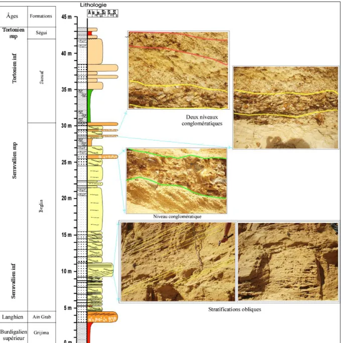 Figure 3.2. Coupe Khechem El Artsouma 