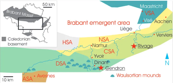 Figure 1. Sedimentation areas for the Tournaisian of Belgium, with location of the studied sections