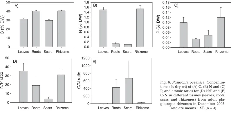 Table 4. Posidonia oceanica. Results of 1-way ANOVAs testing for the effects of seedling status (dead versus  live) on the C, N and P concentrations for each tissues type (leaf scars and roots) of seedlings (May 2005)