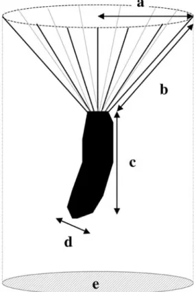 Fig. 1. S. inaequidens propagule with (a) pappus radius; (b) pappus length; (c) achene length; (d) one achene diameter and (e) area of the horizontal  projec-tion of the wider circle made by the pappus, used to  cal-culate the plume loading.