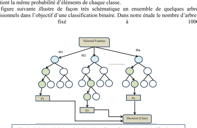 Fig 6 : Schéma tiré de article-Random forest for big data classification in  the internet of things using optimal features by Lakshmanaprabu et al 