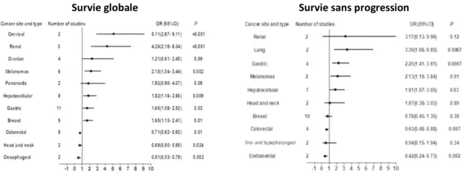 Figure 6. Estimation de la valeur pronostique des lymphocytes T régulateurs en termes de survie  globale et de survie sans progression par type de cancer, basée sur l’analyse d’échantillons  tumoraux 