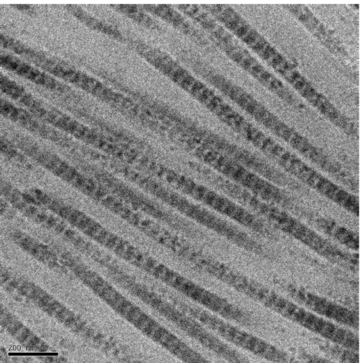 Figure 5 : Fibres de collagène de lapin vues au microscope électronique à transmission  (source : Vincent R