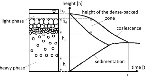 Figure 1: Schematic representation of batch settling-experiment height [h]