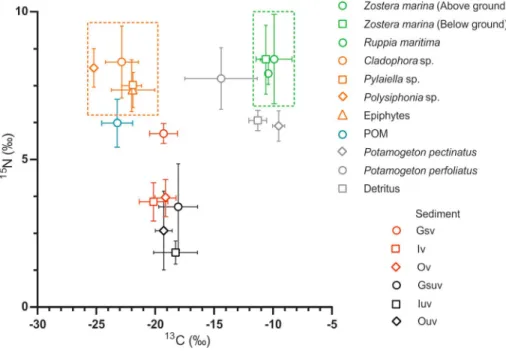 Figure 2. Mean values (  SD) of δ 13 C ( ‰ ) and δ 15 N ( ‰ ) in the bulk sediment samples for three stations (vegetated indi- indi-cated by red dots, unvegetated black dots) and potential organic matter sources