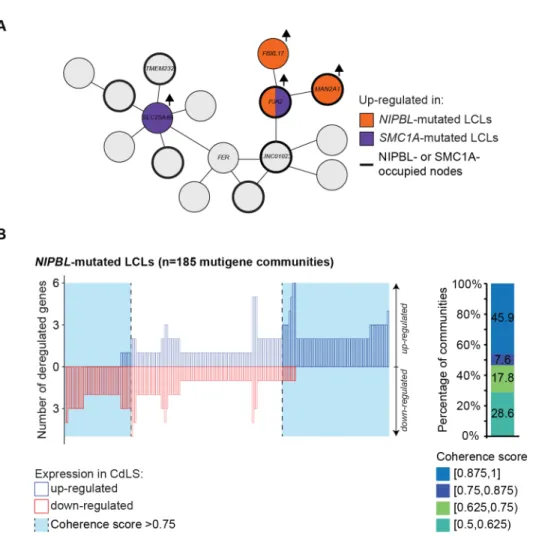 Figure   2.5:   Coordinated   deregulation   of   gene   expression   is   associated   with   NIPBL   mutations