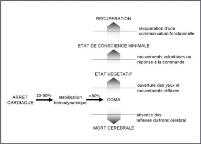 Figure  1.  Evolution  après  un  arrêt  cardiaque.  Adapté  de  Noirhomme   Schnakers et Laureys