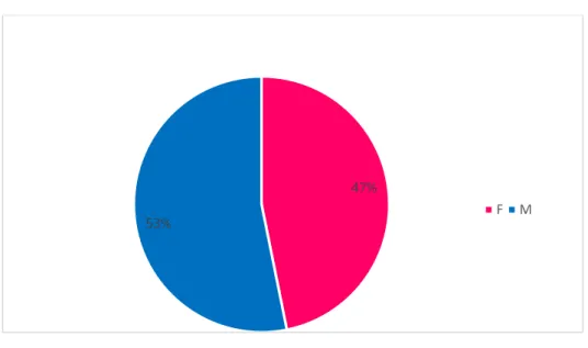 Figure 1 : Répartition en pourcentage d’hommes et de femmes 