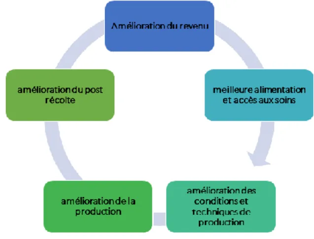 Figure 2: Un cercle vertueux à partir de  l’amélioration des conditions de production  agricole 