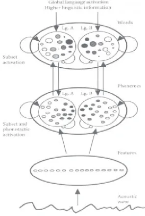 Figure 1. Représentation visuelle du modèle BIMOLA 