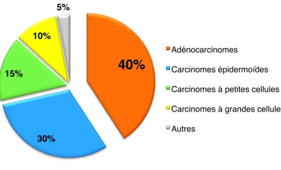 Figure 1.7. Répartition des nouveaux cas de cancer selon le type-histologique au Canada en 2017