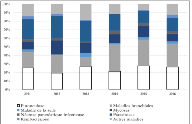 Figure 8 : Maladies diagnostiquées chez les poissons par la FMV entre 2011 et 2016. 