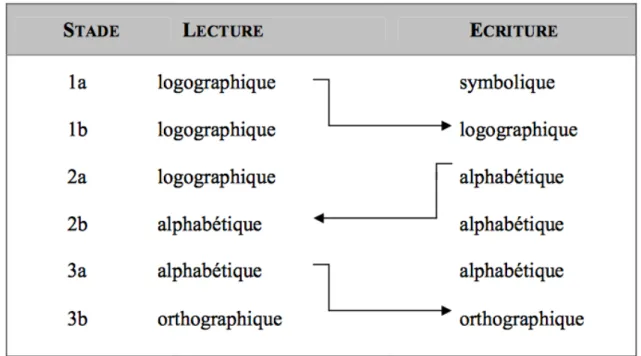 Figure 2 : Modèle d’écriture de Ferreiro, 1985 