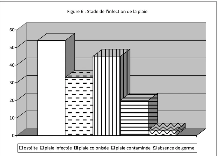 Figure 6 : Stade de l'infection de la plaie