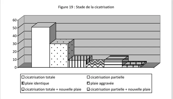 Figure 19 : Stade de la cicatrisation