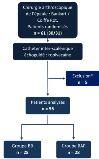 Figure 1 : Flow chart de l’étude  