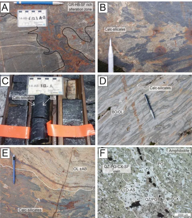 Figure 2.6. Field photographs and photomicrograph of textures and alteration mineral assemblages in the amphibolites