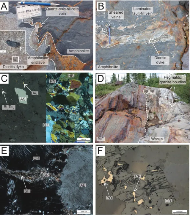 Figure  2.11.  Plagioclase-phyric  dioritic  dykes  and  pegmatitic  granite  field  photographs  and  photomicrographs