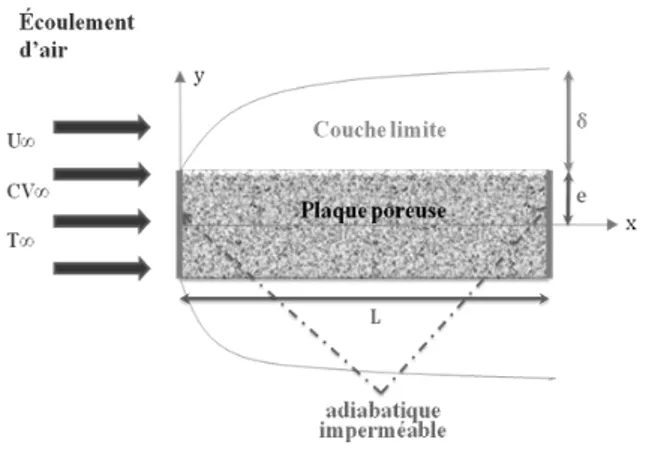 Figure 1 : Courbe caractéristique de séchage de la  menthe pouliot. 