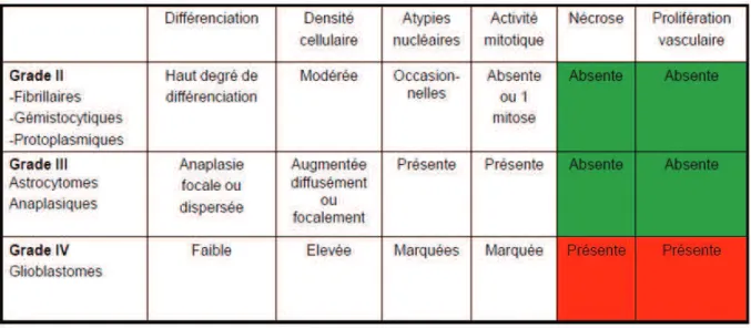 Tableau 1 : critères histologiques de classification des gliomes (OMS) 
