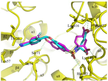 Fig. 5. Binding mode of compound 32d (magenta) in the active site of E. coli MurD (interactions with conserved water molecules are not shown)
