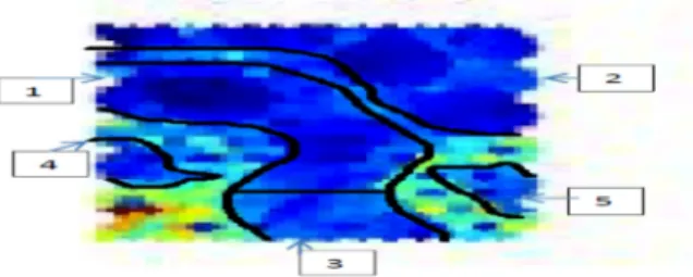 Figure 15 : Set of five Neuronal Clusters in a Self-Organized Map, displayed on a U-matrix 