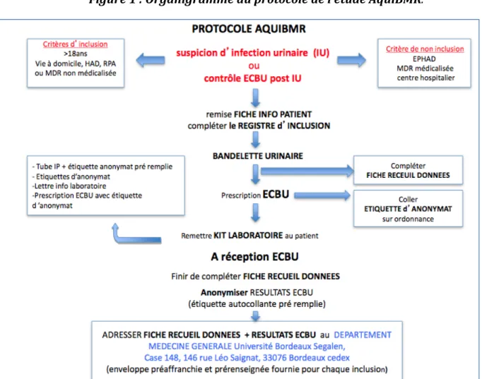 Figure   1   :   Organigramme   du   protocole   de   l’étude   AquiBMR.   