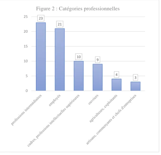 Figure 2 : Catégories professionnelles