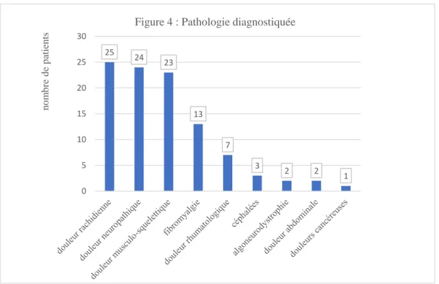 Figure 4 : Pathologie diagnostiquée