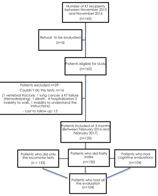 Figure 1: Flow chart of participants ; KT, Kidney Transplantation 