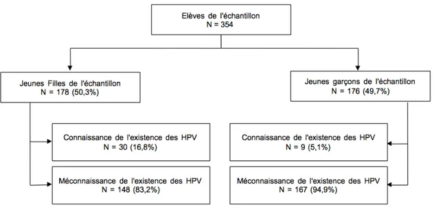 Figure 1 Répartition des connaissances des élèves ayant notion de l'existence des HPV selon le genre