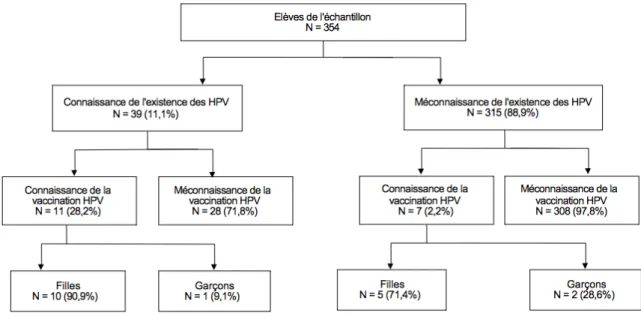 Figure 2 Répartition par genre des élèves ayant connaissance des HPV et de la vaccination HPV